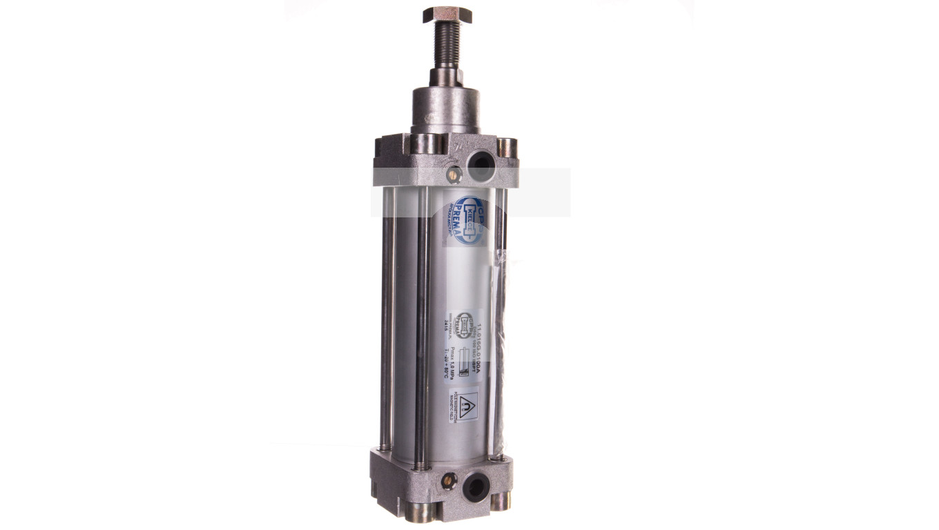 Siłownik pneumatyczny ISO D 50x100 BSPT 11.016G.0100A – PREMA | TIM SA