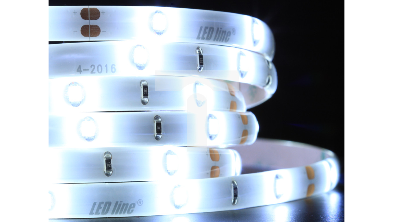 Taśma LED line 150 SMD3528 12V 6500K 2,4W IP65 3 lata gwar. 240089/5m ...