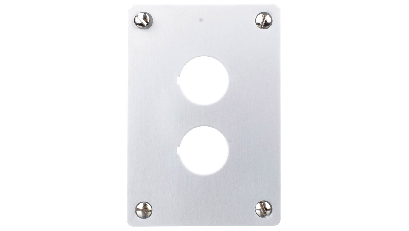 Flush Mount Front Panel 2 Hole RMQ Titanium 216543