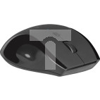 DEFENDER MYSZ BEZPRZEWODOWA ACCURA MM-295 RF CZARNA OPTICAL 1600DPI 6P 52295