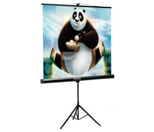 Ekran Projekcyjny 200x200 cm 112 Cali SBOX PSMT-112 Statyw