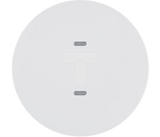 KNX e/s R.x/Serie 1930 Przycisk 1-kr z diod. LED RGB i czuj. temp., biały, poł. 80161869