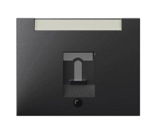 K.1 Element centralny gniazda teleinformatycznego z polem opisowym antracyt mat lakierowany 11707006