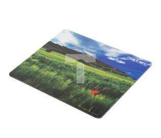 PODKŁADKA POD MYSZ FOTO NATEC ITALY 220X180MM 10-PACK