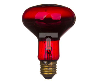 Promiennik podczerwieni E27 75W 80mm R-80 rubin do terrarium PRO-1466