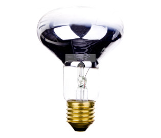 Promiennik podczerwieni E27 75W R80 80mm do terrarium PRO-0406