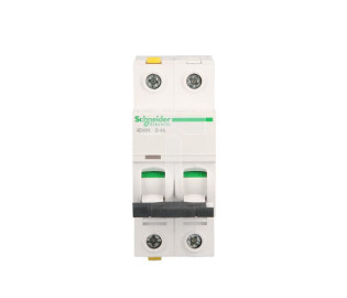 Wyłącznik nadprądowy 2P D 4A 6kA AC iC60N-D4-2 A9F05204