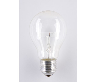 Żarówka wysokotemperaturowa 24V 60W E27/27Al A55CL 1CT/100 1000h Soleo WST-2660