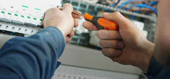 Zaczarowany ogród...