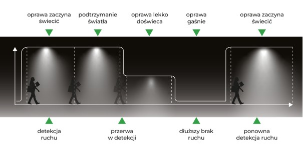 Jak inteligentne oświetlenie wpływa na decyzje zakupowe klientów?