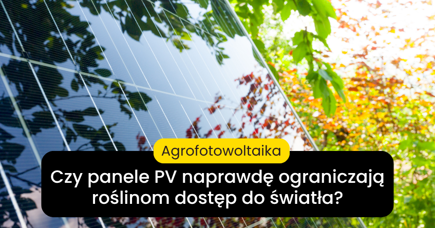 agrofotowoltaika